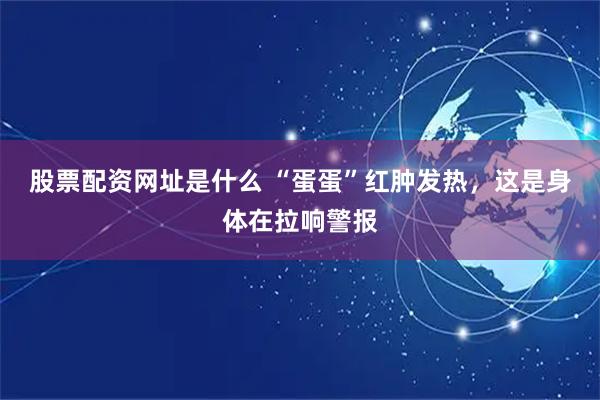 股票配资网址是什么 “蛋蛋”红肿发热，这是身体在拉响警报